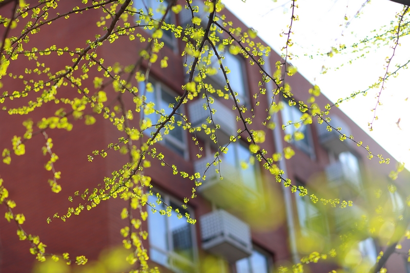 suncitygroup太阳集团(中国)-官方网站