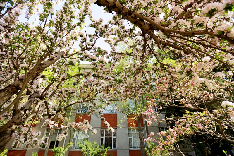 suncitygroup太阳集团(中国)-官方网站