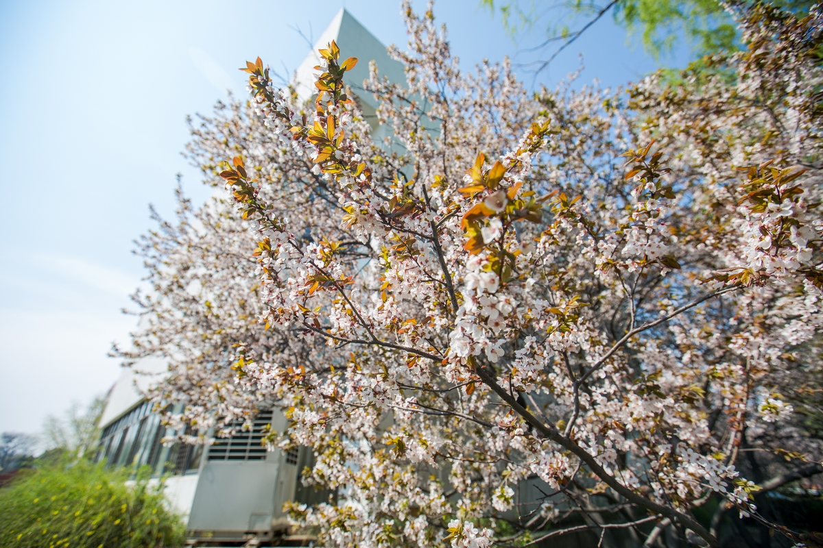 suncitygroup太阳集团(中国)-官方网站