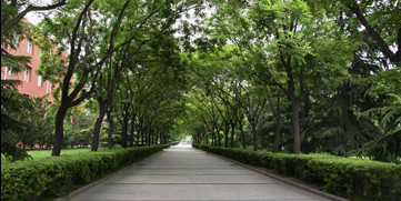 suncitygroup太阳集团(中国)-官方网站