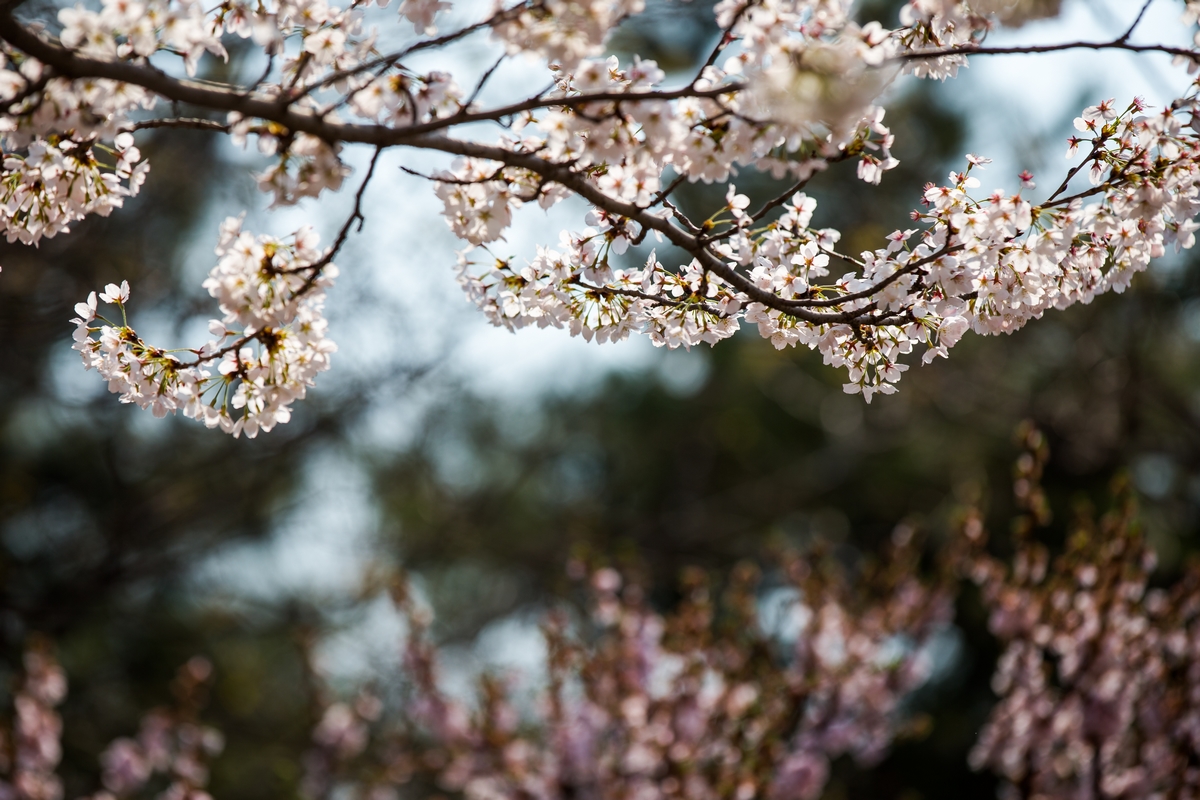 suncitygroup太阳集团(中国)-官方网站