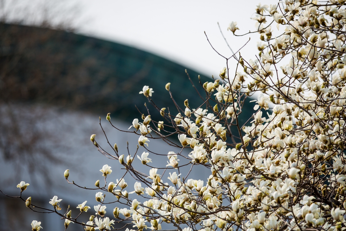 suncitygroup太阳集团(中国)-官方网站