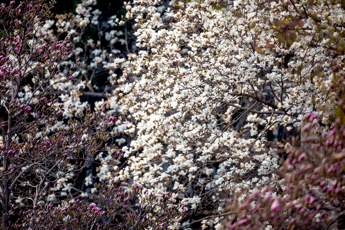 suncitygroup太阳集团(中国)-官方网站