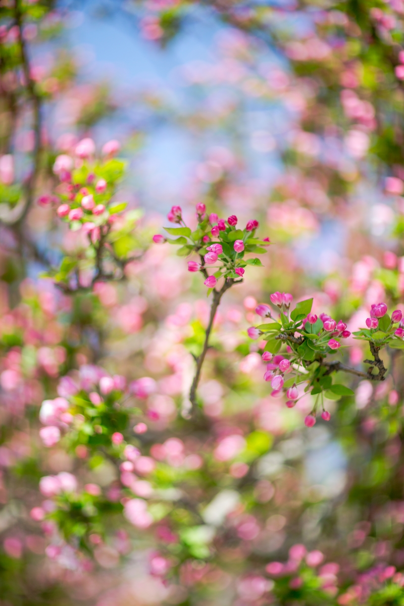 suncitygroup太阳集团(中国)-官方网站