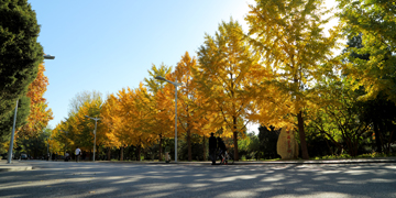 suncitygroup太阳集团(中国)-官方网站