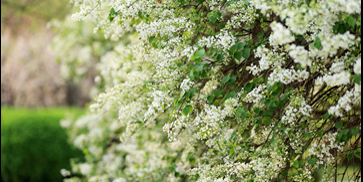 suncitygroup太阳集团(中国)-官方网站