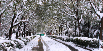 suncitygroup太阳集团(中国)-官方网站