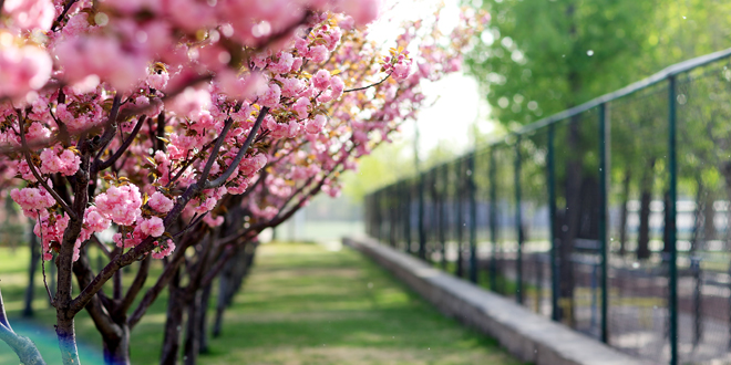 suncitygroup太阳集团(中国)-官方网站