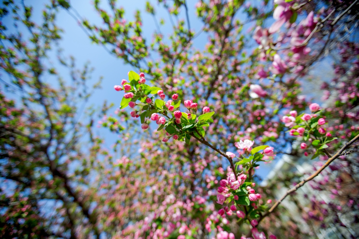 suncitygroup太阳集团(中国)-官方网站