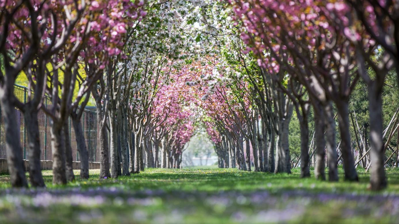 suncitygroup太阳集团(中国)-官方网站